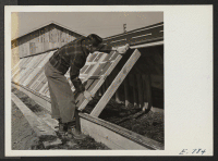 [recto] A young farm assistant preparing hot beds at the Jerome Center, where former west coast residents of Japanese ancestry now reside. The center farm activities will include the raising of any vegetable for center use. ;  Photographer: Parker, Tom ;  Den