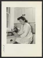[recto] A young technician in the hospital laboratory, preparing a blood count. ;  Photographer: Parker, Tom ;  Amache, Colorado.