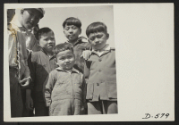 [recto] Manzanar, Calif.--Group of little evacuees of Japanese descent at Memorial Day services in which evacuee Boy Scouts took a leading part in the ceremony held at this War Relocation Authority center. ;  Photographer: Stewart, Francis ;  Manzanar, Califo
