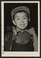 [recto] A Sansei, or third generation boy of Japanese ancestry. His father, a Nisei, second generation, American citizen, and the rest of his family, evacuated from the west coast areas, now reside at the Heart Mountain Relocation Center. ;  Photographer: Parke