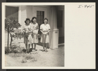 [recto] Three daughters of Mr. and Mrs. Denroku Sasaki are shown in the garden of their home located at Rt. 1, ...
