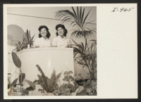 [recto] Alma's Beauty Salon, owned and operated by Alma Sakamoto Collier, daughter of Mr. and Mrs. S. G. Sakamoto, formerly of ...