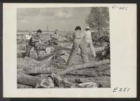 [recto] The football team coach declared so many hours a day on the woodpile for his [illegible] as training, so tackle and fullback both tackle a red oak log. ;  Photographer: Parker, Tom ;  Denson, Arkansas.