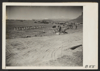 [recto] Tule Lake, Calif.--Construction begins on a War Relocation Authority center for evacuees of Japanese ancestry near Tule Lake in Modoc County, California, south of the Oregon border. ;  Photographer: Albers, Clem ;  Newell, California.