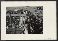 [recto] Harvest Festival crowds. ;  Photographer: Stewart, Francis ;  Newell, California.