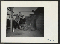 [recto] Charcoal making. Evacuee workers warm themselves by fires made from this charcoal on chilly mornings. ;  Photographer: Stewart, Francis ;  Poston, Arizona.