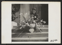 [recto] Arranging flowers for altar on last day of services at Japanese Independent Congregational Church, prior to evacuation. Evacuees of Japanese ancestry will be housed in the War Relocation Authority centers for the duration. ;  Photographer: Lange, Doroth