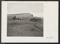 [recto] Truck loads of garbage from the center are brought to the hogs at the temporary hog farm. ;  Photographer: Stewart, Francis ;  Newell, California.
