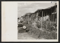 [recto] Scene at Rohwer Relocation Center. Alongside the barracks, many of the evacuees have small vegetable and flower gardens. ;  Photographer: Van Tassel, Gretchen ;  McGehee, Arkansas.