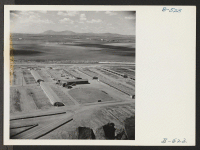 [recto] A general view of the poultry farm at the Tule Lake Relocation Center. ;  Photographer: Stewart, Francis ;  Newell, California.