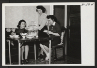 [recto] The Oda sisters like to entertain their friends in their apartment in Rockford, Illinois. Right to left, Sumi lifts up ...