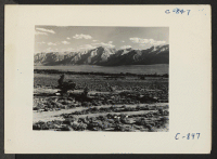 [recto] Manzanar, Calif.--A view of surrounding country flanked by beautiful mountains at this War Relocation Authority Center. ;  Photographer: Lange, Dorothea ;  Manzanar, California.