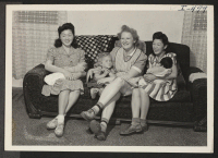 [recto] There is much to talk about as farm housewives get together for a visit on neighboring farms near Elkhorn, Wisconsin. ...