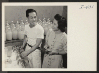 [recto] Miss Grace Sumida and Mr. Shiro Muraoka are shown at their work. Mr. Muraoka, a young Issei, is filling bottles ...