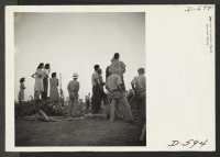 [recto] Poston, Arizona--Evacuees of Japanese descent watching an outdoor musical performance at this War Relocation Authority center where they are spending the duration. ;  Photographer: Stewart, Francis ;  Poston, Arizona.