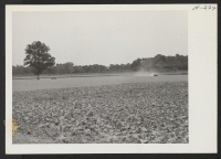 [recto] Typical Missouri River bottom land west of St. Louis. This soil is perhaps the most productive in Missouri. It is flooded about one year in five, but is so productive that it is said to more than pay for the off year. ;  Photographer: Mace, Charles E.