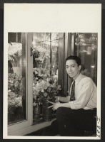 [recto] Hal Takaoka, floral designer, brought his wife and daughter to Peoria in December 1943 from Manzanar. Mr. Takaoka formerly lived ...