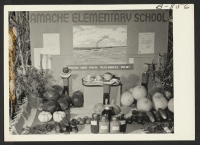 [recto] Amache elementary school victory garden exhibit, Amache Agricultural Fair, September 11 and 12. ;  Photographer: McClelland, Joe ;  Amache, Colorado.
