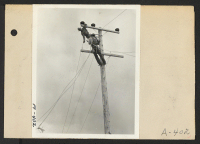 [recto] Poston, Ariz.--(Site #1)--Light poles and wiring for electric lighting are being installed at this War Relocation Authority center for evacuees of Japanese ancestry. ;  Photographer: Clark, Fred ;  Poston, Arizona.