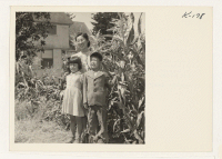 [recto] Mrs. Hiroshi Kawahara and her children, Seichi and Seiko, in their garden at Route 3, Box 389, Petaluma, California. Mr. Kawahara is working for Mr. Polonisky, a grower in the vicinity. The Kawaharas are former residents of Granada. ;  Photographer: Iwa