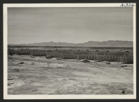 [recto] Parker, Ariz.--View of quarters under construction for evacuees of Japanese ancestry at War Relocation Authority center on Colorado River Indian Reservation. ;  Photographer: Albers, Clem ;  Parker, Arizona.