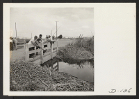 [recto] During the noon hour, evacuee farm workers fish for carp in a nearby slough. ;  Photographer: Stewart, Francis ;  Newell, California.