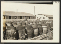 [recto] These barrels, located in back of the warehouse, are used by the mess division in preparing pickled lettuce, cabbage, etc., for winter use. ;  Photographer: McClelland, Joe ;  Amache, Colorado.