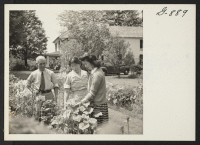[recto] Mr. and Mrs. Teruharu Suzuki and their daughter, Peggy, in the garden of the estate at Cornwall, Connecticut, where Mr. ...