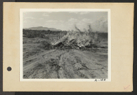 [recto] Poston, Ariz.--Site #3. Burning brush to clear more land for the enlarging of this War Relocation Authority center for evacues of Japanese ancestry. ;  Photographer: Clark, Fred ;  Poston, Arizona.