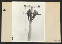 [recto] Poston, Ariz.--(Site #1)--Light poles and wiring for electric lighting are being installed at this War Relocation Authority center for evacuees of Japanese ancestry. ;  Photographer: Clark, Fred ;  Poston, Arizona.