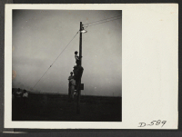 [recto] Poston, Arizona--Evacuees of Japanese ancestry watching from their positions on a light pole an outdoor musical performance by evacuees at this War Relocation Authority center. ;  Photographer: Stewart, Francis ;  Poston, Arizona.