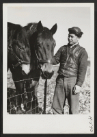 [recto] Like every farmer, Mr. Okazaki likes horses. Here he is shown viewing two of his prize draft horses. Mr. Bill ...