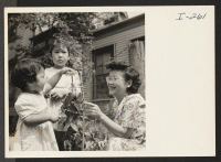 [recto] Mrs. Chick Uno with her daughters, Sheila and Naomi, in their flower garden at their home in Hyde Park, Mass. ...