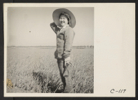 [recto] Mountain View, Calif.--Weeding a garlic field in Santa Clara County. Evacuees of Japanese ancestry will be housed in War Relocation Authority centers for the duration. ;  Photographer: Lange, Dorothea ;  Mountain View, California.