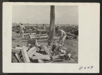 [recto] Woodcutting for fuel on the central square. The wood cut here is oak, gum, and hardwood. ;  Photographer: Parker, Tom ;  Denson, Arkansas.