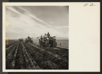 [recto] A crew of four feeding rotary planters seeding 500 acres at this War Relocation Authority center for evacuees of Japanese ancestry. ;  Photographer: Stewart, Francis ;  Newell, California.