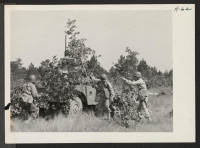 [recto] A rapid fire anti-aircraft gun mounted on a truck is quickly concealed from the enemy after being put into position ...