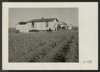 [recto] A typical house provided for volunteer beet workers of Japanese ancestry at Colorado beet farms near Keensburg, Colorado. ;  Photographer: Parker, Tom ;  Keensburg, Colorado.