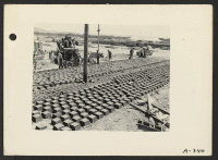 [recto] Poston, Ariz.--Thousands of concrete blocks were cast for foundations of new living quarters for evacues of Japanese ancestry at this War Relocation Authority Center. ;  Photographer: Clark, Fred ;  Poston, Arizona.