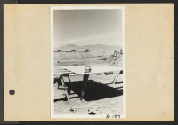 [recto] Poston, Ariz.--Site No. 1. Sawing celotex for the construction of barracks for evacuees of Japanese ancestry at this War Relocation Authority center. ;  Photographer: Clark, Fred ;  Poston, Arizona.