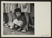 [recto] Manzanar, Calif.--A little girl evacuee of Japanese descent watches the Memorial Day Service. Evacuee Boy Scouts took a leading part in the ceremony held at this War Relocation Authority Center. ;  Photographer: Stewart, Francis ;  Manzanar, Californi