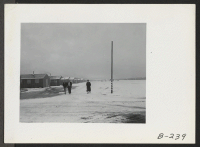 [recto] A winter time scene looking east down the main fire break. ;  Photographer: Stewart, Francis ;  Newell, California.
