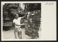 [recto] Mr. Ben Ninomiya, a foreman at the Fairfield Lumber Company, Fairfield, Connecticut, measures a newly stacked pile of lumber. Ben ...