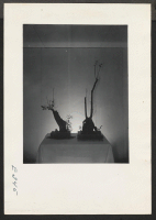 [recto] Ikebana. An example of the Japanese art of arranging plants, flowers and twigs. ;  Photographer: Parker, Tom ;  McGehee, Arkansas.