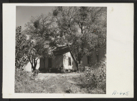 [recto] A 70 acre fruit ranch formerly operated by M. Miyamoto. This ranch, now not being worked, raised principally plums, peaches and pears. ;  Photographer: Stewart, Francis ;  Penryn, California.