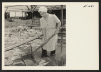 [recto] Mrs. Henry Akiyama is pictured on her Pacific Gold Fish Farm, Garden Grove, California. Mr. and Mrs. Akiyama have leased ...