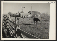 [recto] A scene on the C. S. Inman farm, near Hereford, Deaf Smith County, Texas. Mr. Inman was the first farmer in the county to offer a lease of share-cropping deal to an evacuee farmer. ;  Photographer: Iwasaki, Hikaru ;  Hereford, Texas.