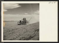 [recto] A crew operating an onion planter on the evacuee farm near the relocation center. Each onion planter can seed about 15 acres of white onions per day. ;  Photographer: Stewart, Francis ;  Newell, California.