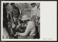 [recto] A group of farm workers assembling equipment, in preparing for spring plowing. Farm workers, for the extensive project agricultural activities, are recruited from center residents (former west coast persons of Japanese ancestry). ;  Photographer: Parker