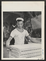 [recto] Jim Kurisu, 22, an evacuee from the Jerome Relocation Center and formerly employed as a clerk in Madera, California, now makes molds for marshmallows in a Chicago candy factory. He is here shown stacking the trays as they emerge from the machine. ;  Pho